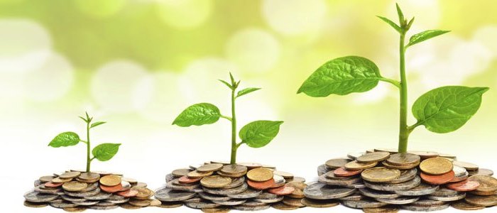Wise Money-Making Investment for Future Growth