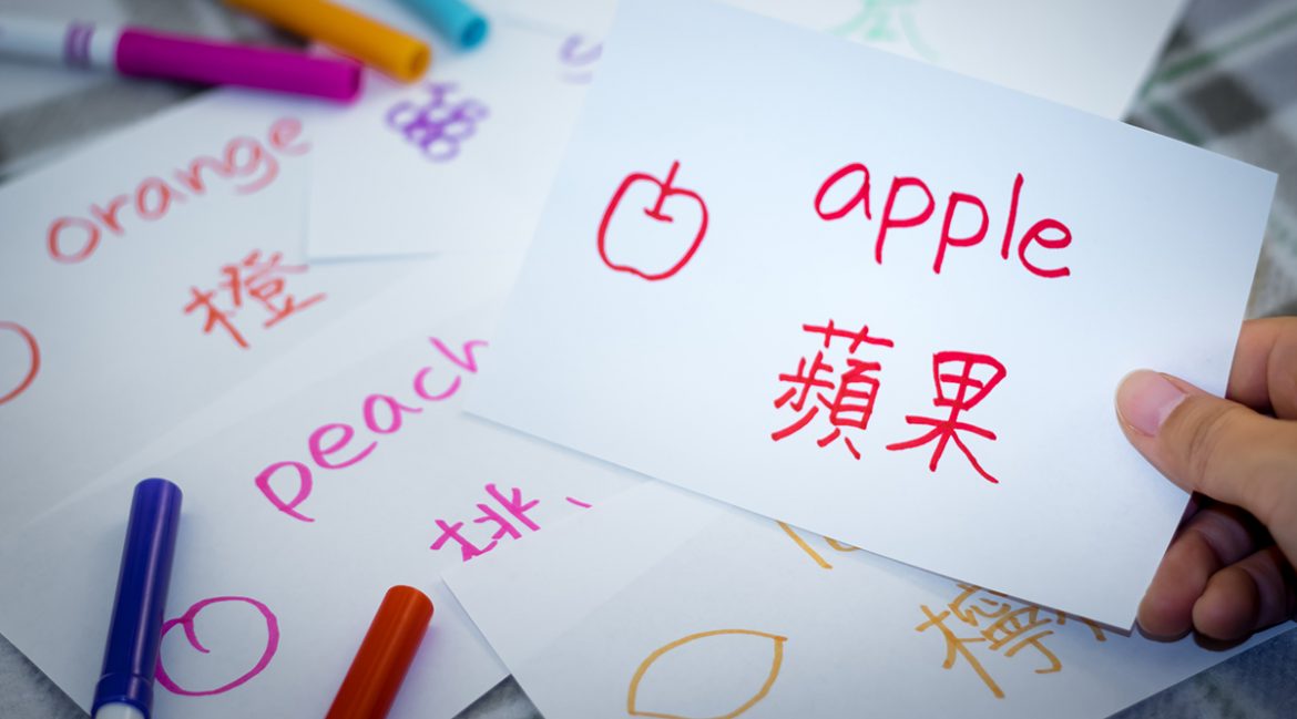 Guide To Choosing The Best Online Mandarin Learning Platform