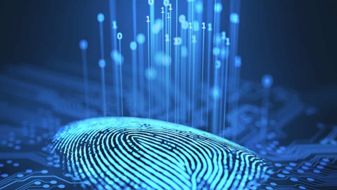 How do locks with a fingerprint reader work?
