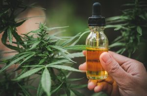 The benefits of using cannabis-based products: What to expect